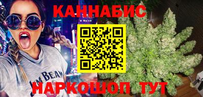 крисы Краснодар